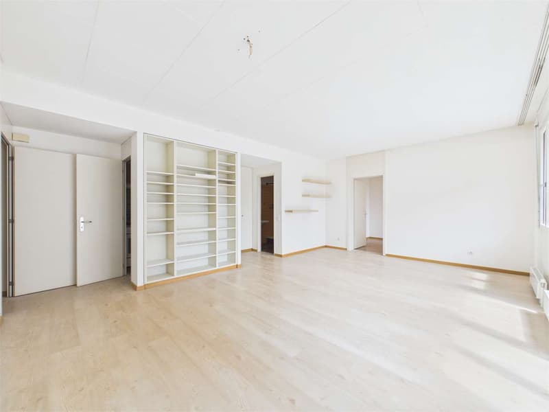Lugano city center - 2.5 rooms (3)