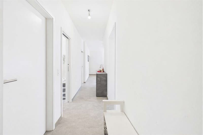 Bellinzona Appartamento di 4.5 locali (8)