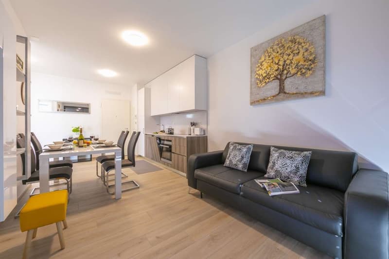 Splendido appartamento 2.5 locali a Viganello (3)