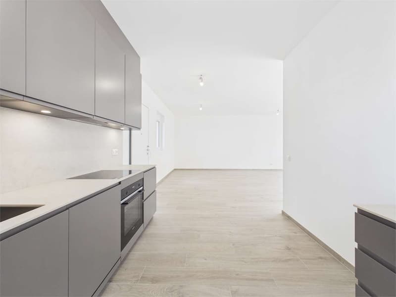Schöne neu gebaute Villa in Sant'Antonino (5)