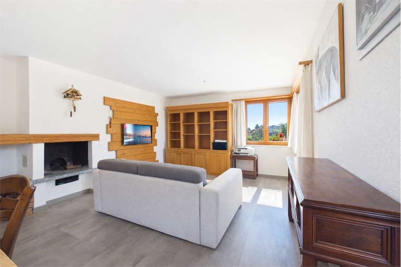 Appartement Rénové 4.5 (1)