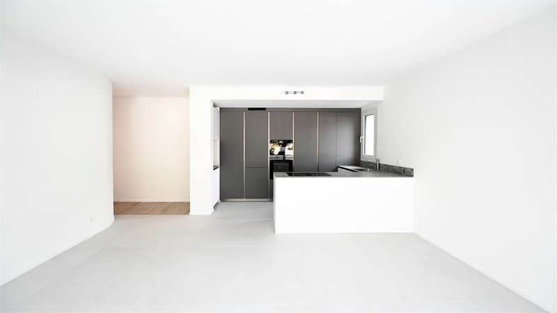 BARBENGO - Prestigious attic in elegant residence (2)
