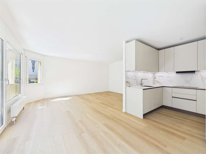 Spektakuläres 2.5-Zimmer-Wohnung komplett renoviert (2)