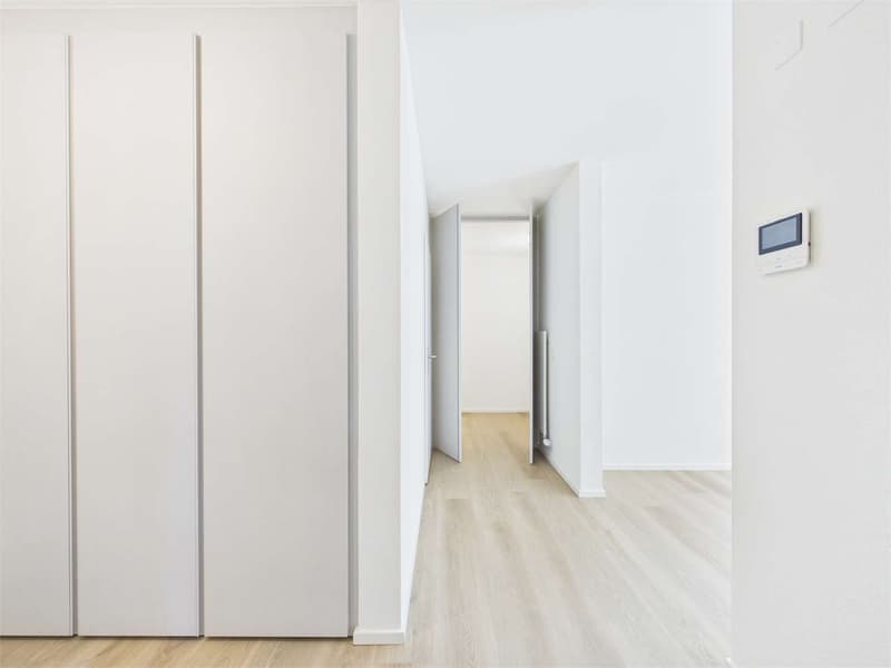 Spektakuläres 2.5-Zimmer-Wohnung komplett renoviert (5)