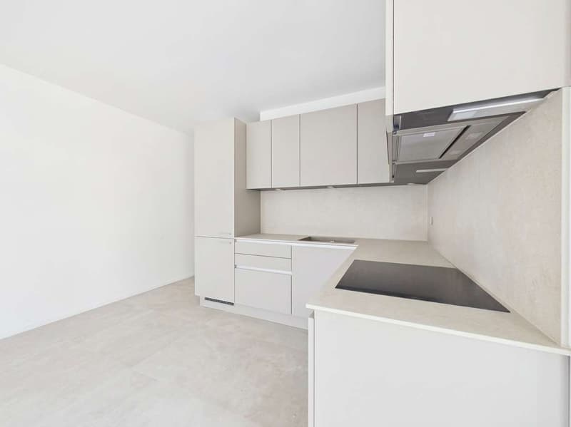 Lamone - Moderno 3.5 locali in costruzione (4)