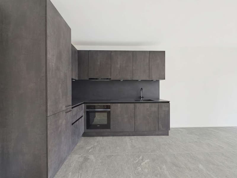 Lamone - Moderno 2.5 locali in costruzione (2)