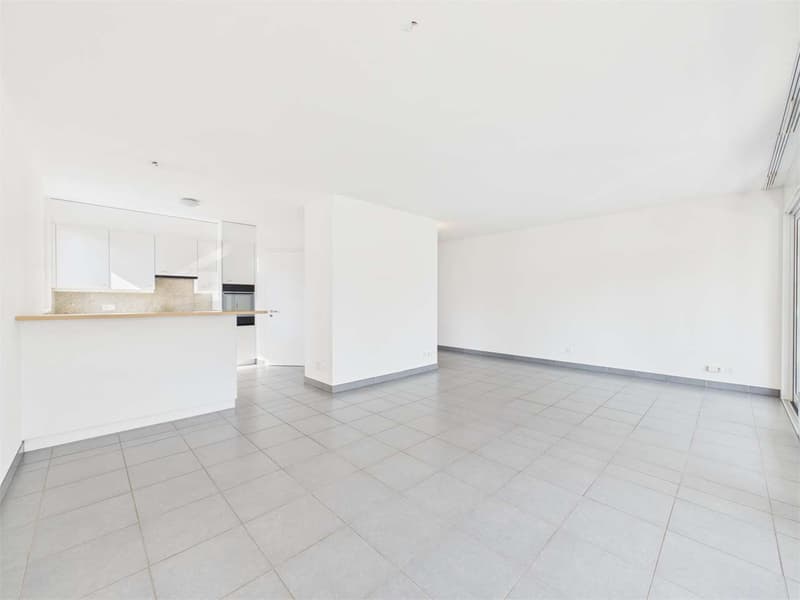 Spacious 3.5-Room Apartment in Pregassona (2)