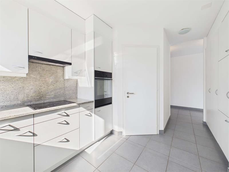 Spacious 3.5-Room Apartment in Pregassona (6)