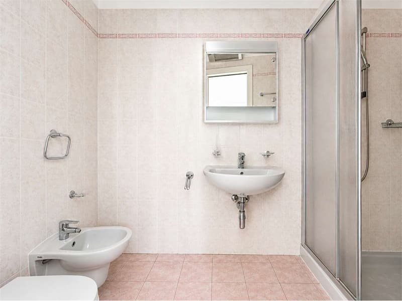 Spacious 3.5-Room Apartment in Pregassona (10)