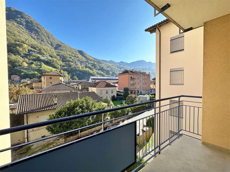 Bellinzona Lumineux 3.5 pièces (1)