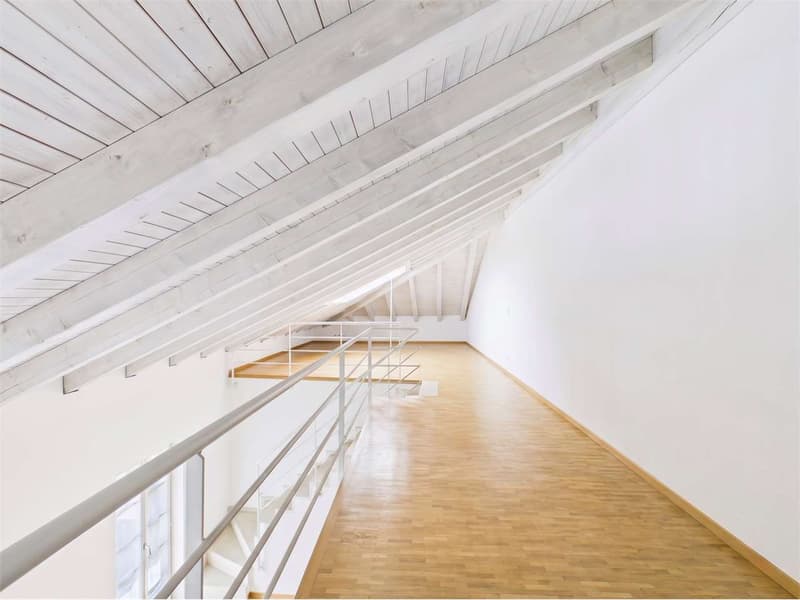 Duplex spectaculaire de 5,5 pièces au cœur de Bellinzona (4)