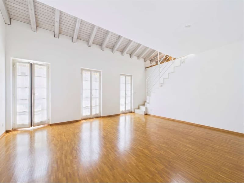 Duplex spectaculaire de 5,5 pièces au cœur de Bellinzona (2)