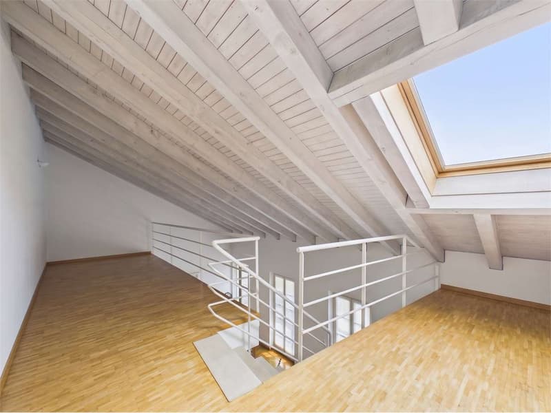 Duplex spectaculaire de 5,5 pièces au cœur de Bellinzona (3)