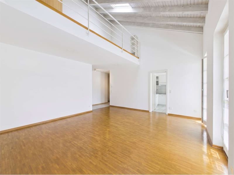 Duplex spectaculaire de 5,5 pièces au cœur de Bellinzona (5)