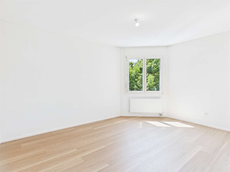 Appartement moderne de 3,5 pièces à l'étage du penthouse (5)