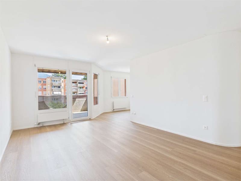 Appartement moderne de 3,5 pièces à l'étage du penthouse (3)