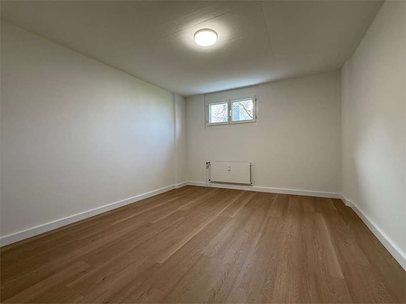 Versatile room on the ground floor, heated and glazed (3)