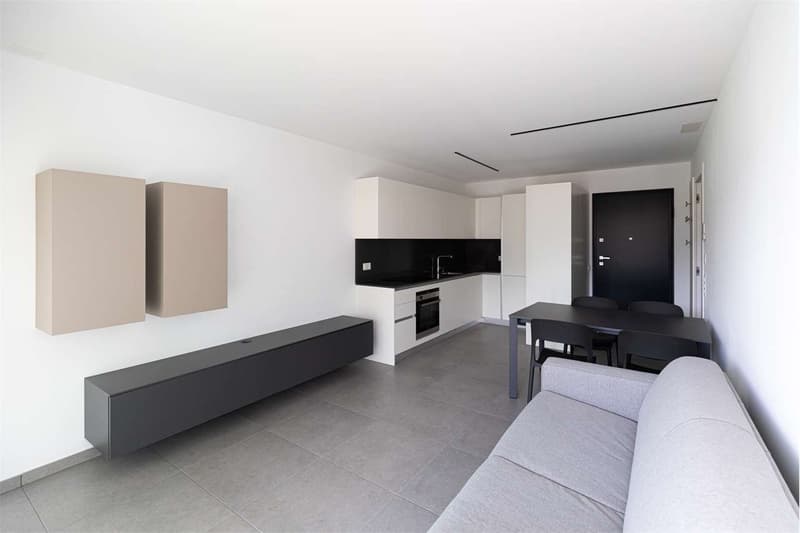 Bellinzona 3.5 Zimmer moderne Wohnung mit großer Terrasse (3)