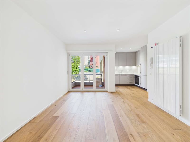 INVESTISSEMENT : Appartement lumineux de 2,5 pièces (3)