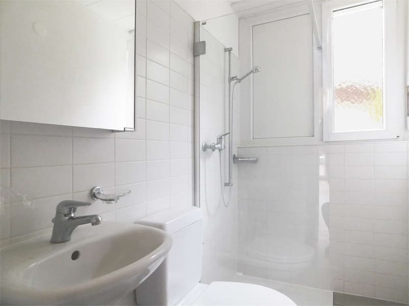 Appartamento 4.5 locali in centro Lugano (7)