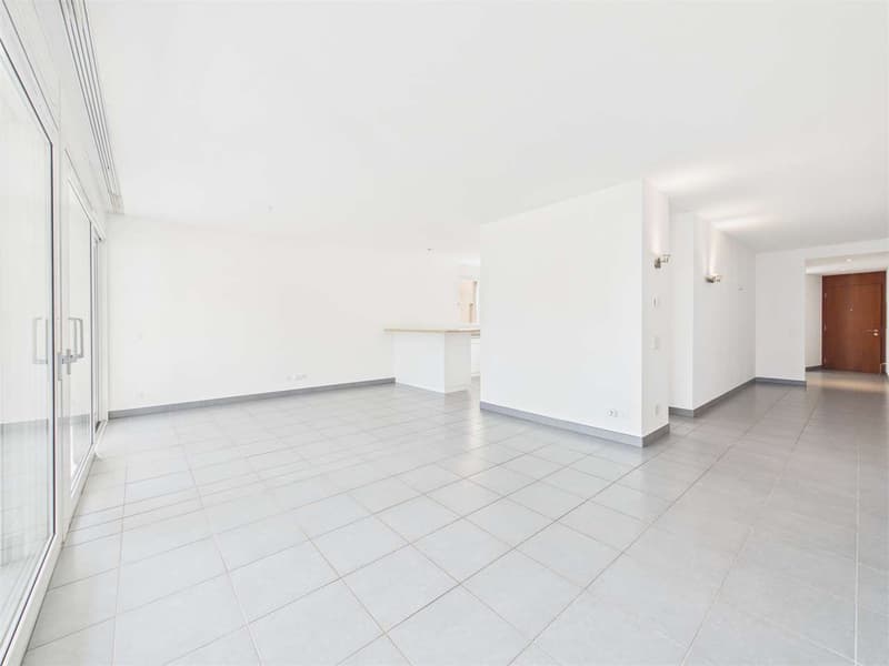 Ampio 3.5 Locali a Pregassona (1)