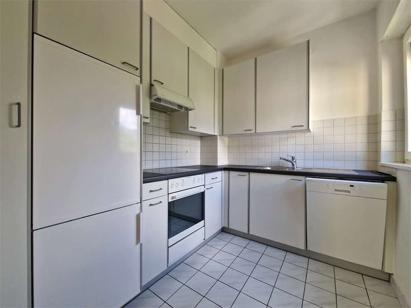 Bellinzona Appartamento di 4.5 locali (7)