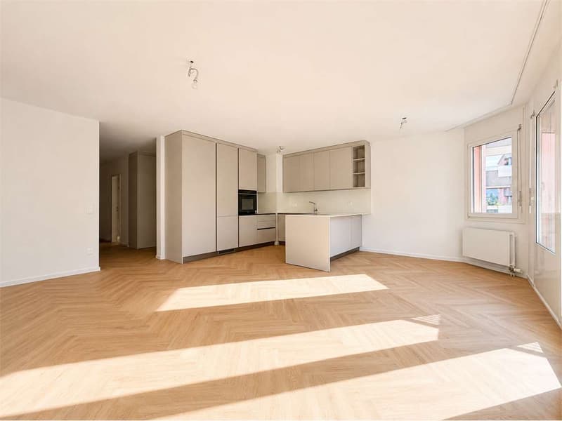 Neu - Renovierte 3.5 Zimmer Wohnung in Breganzona (1)