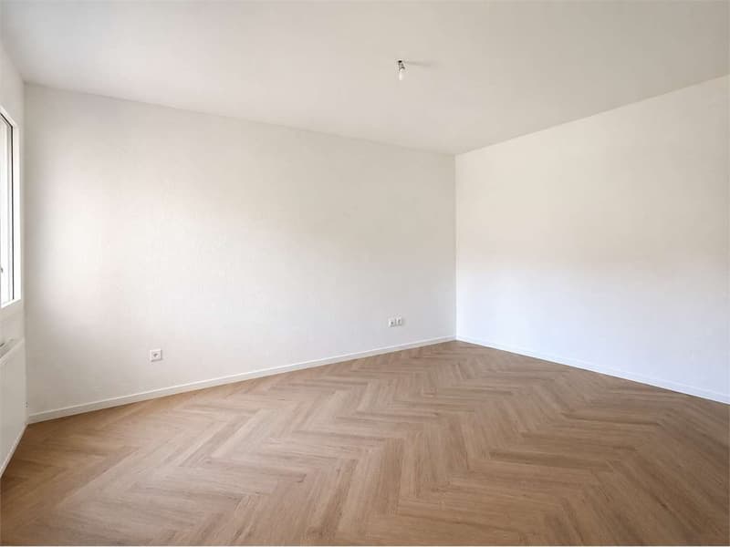 Neu - Renovierte 3.5 Zimmer Wohnung in Breganzona (6)