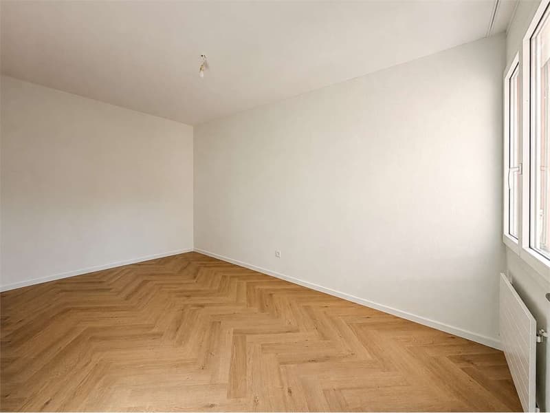 Neu - Renovierte 3.5 Zimmer Wohnung in Breganzona (4)