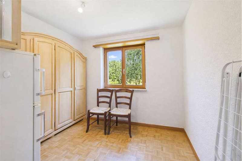 Appartement Rénové 4.5 (7)