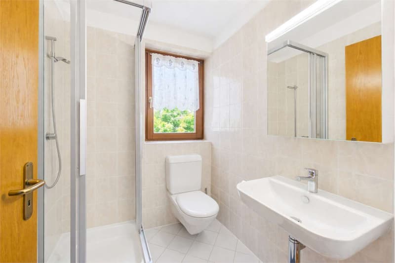 Appartement Rénové 4.5 (8)