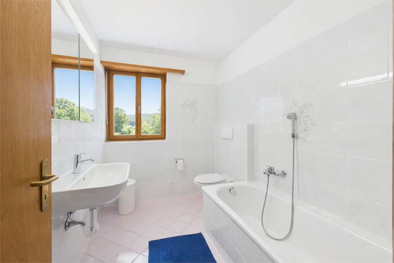 Appartement Rénové 4.5 (9)