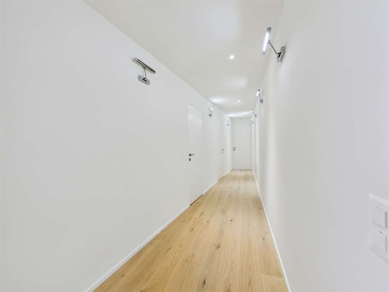Bright Villa with 5.5 rooms and lake view (8)