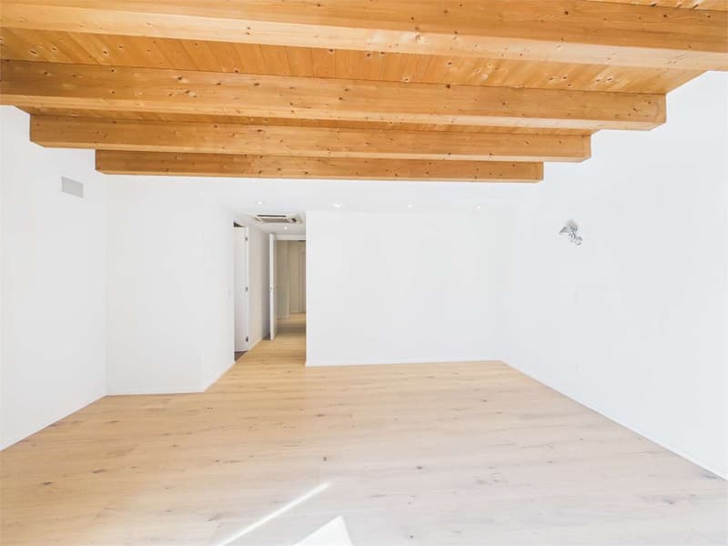Bright Villa with 5.5 rooms and lake view (7)