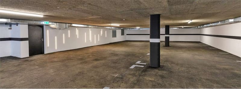 Bellinzona - Modernes Dachgeschoß mit großer Terrasse (13)