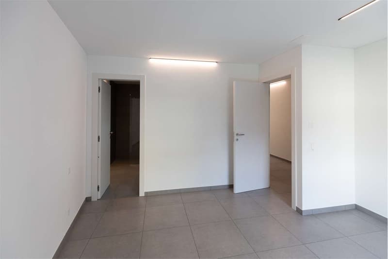Bellinzona - Modernes Dachgeschoß mit großer Terrasse (4)