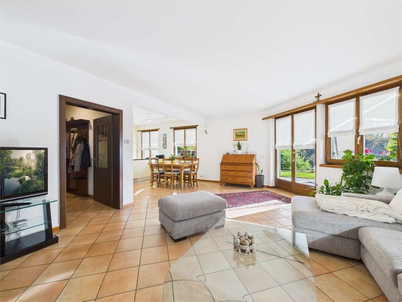 Pregassona - Lake View House (3)