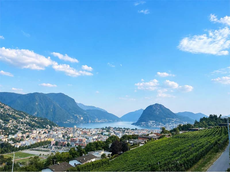 Porza - Appartamento 4.5 locali con vista lago (1)