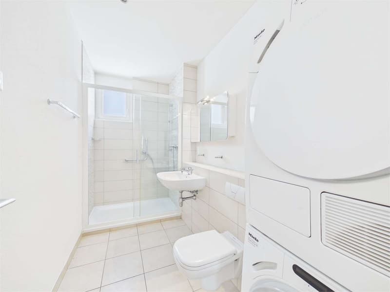 Bellinzona - Appartamento 4.5 locali disponibile da subito (7)