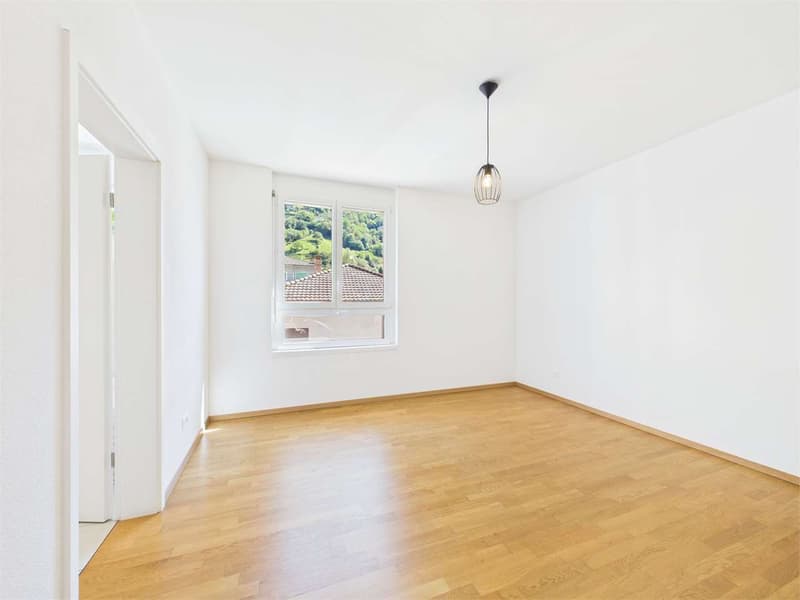 Bellinzona - Appartamento 4.5 locali disponibile da subito (5)