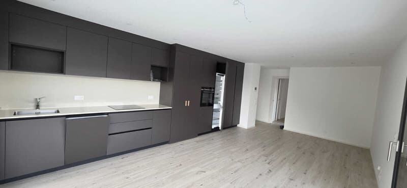 ✨ Elegante 3.5 locali con splendida vista lago - Bioggio - Residenza Aurora (5)