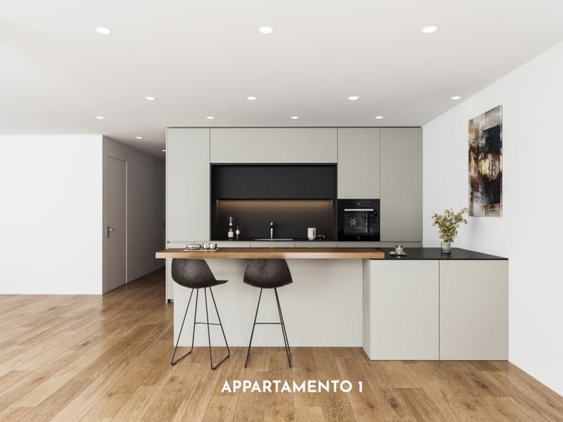 Generoso 3.5 locali con grande terrazza in zona tranquilla (1)