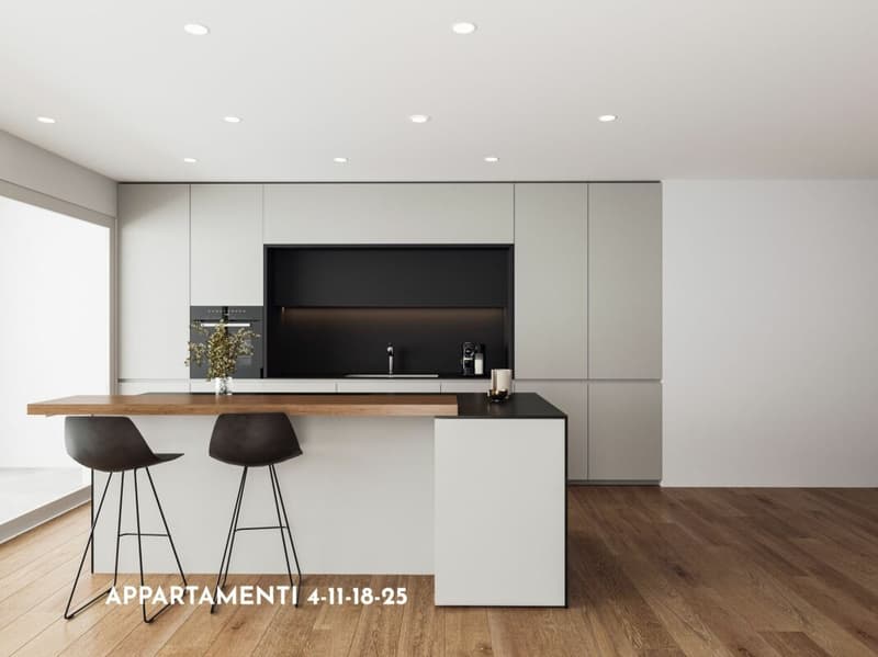 Splendido 3.5 locali con ampia terrazza in zona tranquilla (2)