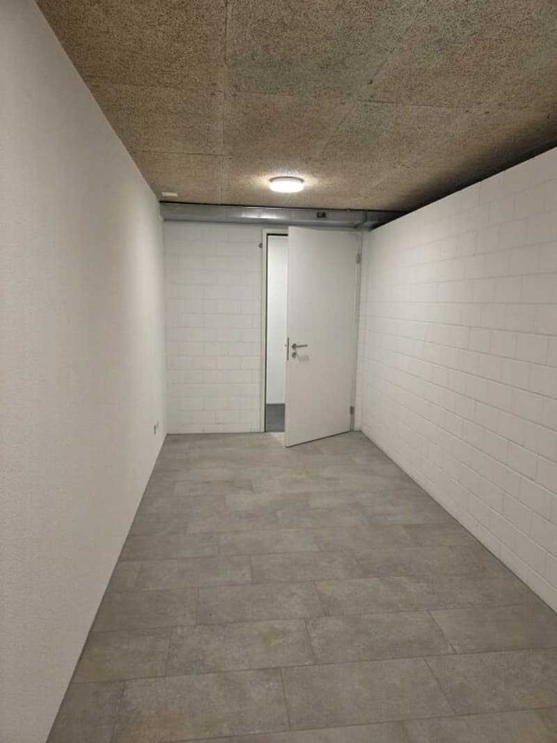 Vendesi cantine in residenza di alto standing a Minusio (1)