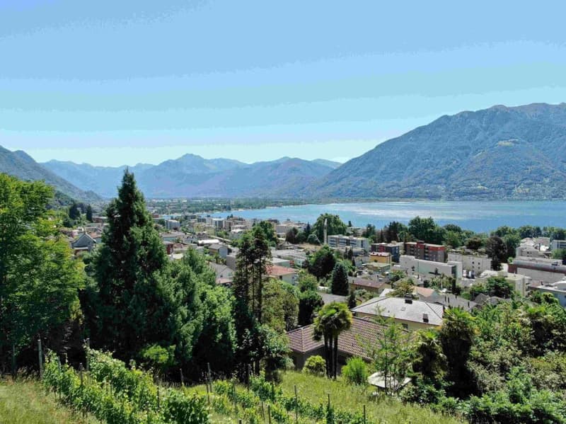 Ultima occasione: magnifico 3.5 locali con ampia terrazza, vista lago, wellness e piscina (1)