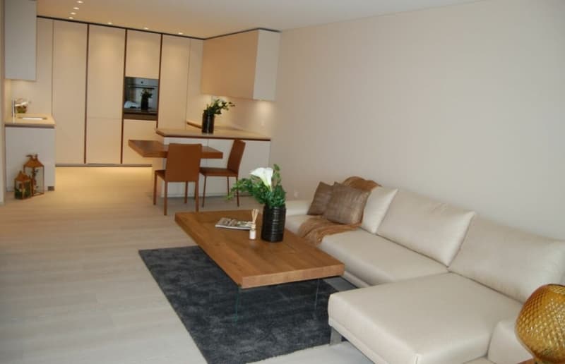 Luxuriöse 2.5 Zimmerwohnung mit Seesicht, grosser Sonnenterrasse, Schwimmbad und Wellnessbereich (5)