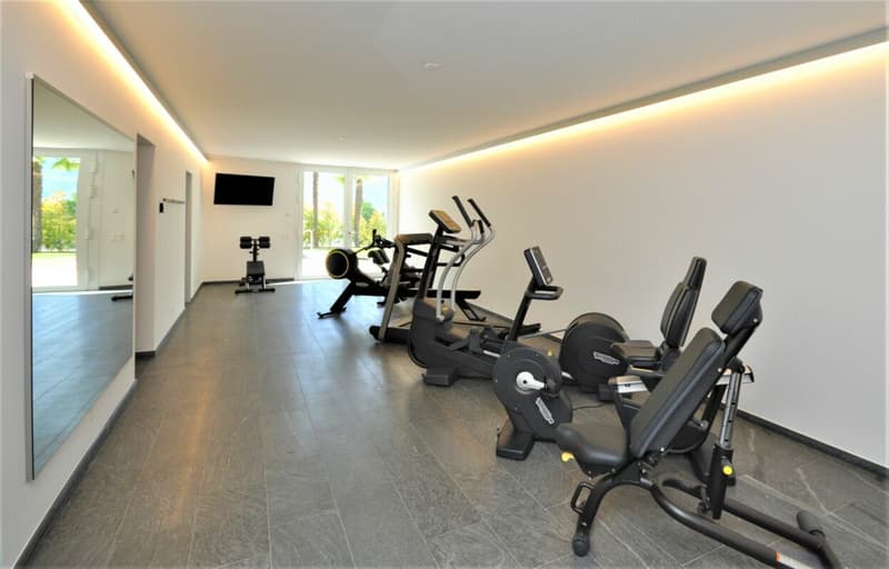 Luxuriöse 2.5 Zimmerwohnung mit Seesicht, grosser Sonnenterrasse, Schwimmbad und Wellnessbereich (11)