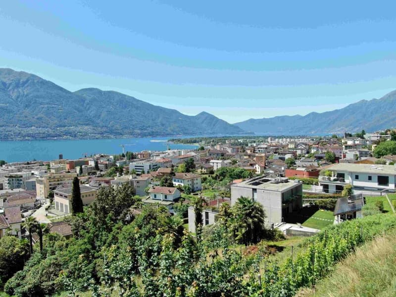 Ultima occasione: magnifico 3.5 locali con ampia terrazza, vista lago, wellness e piscina (7)