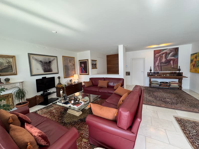 Living room with red leather sofas, glass table, artwork, carpet, plant, fireplace, TV, cabinet.