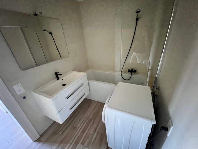 Lugano-Pazzallo – Perfect 3.5 rooms renovated with terraces and parking space - A rental income (29)